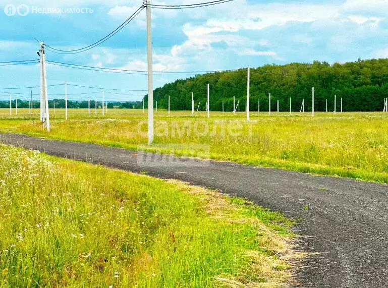 Участок в Раменский городской округ, коттеджный посёлок Новое Давыдово ... - Фото 1