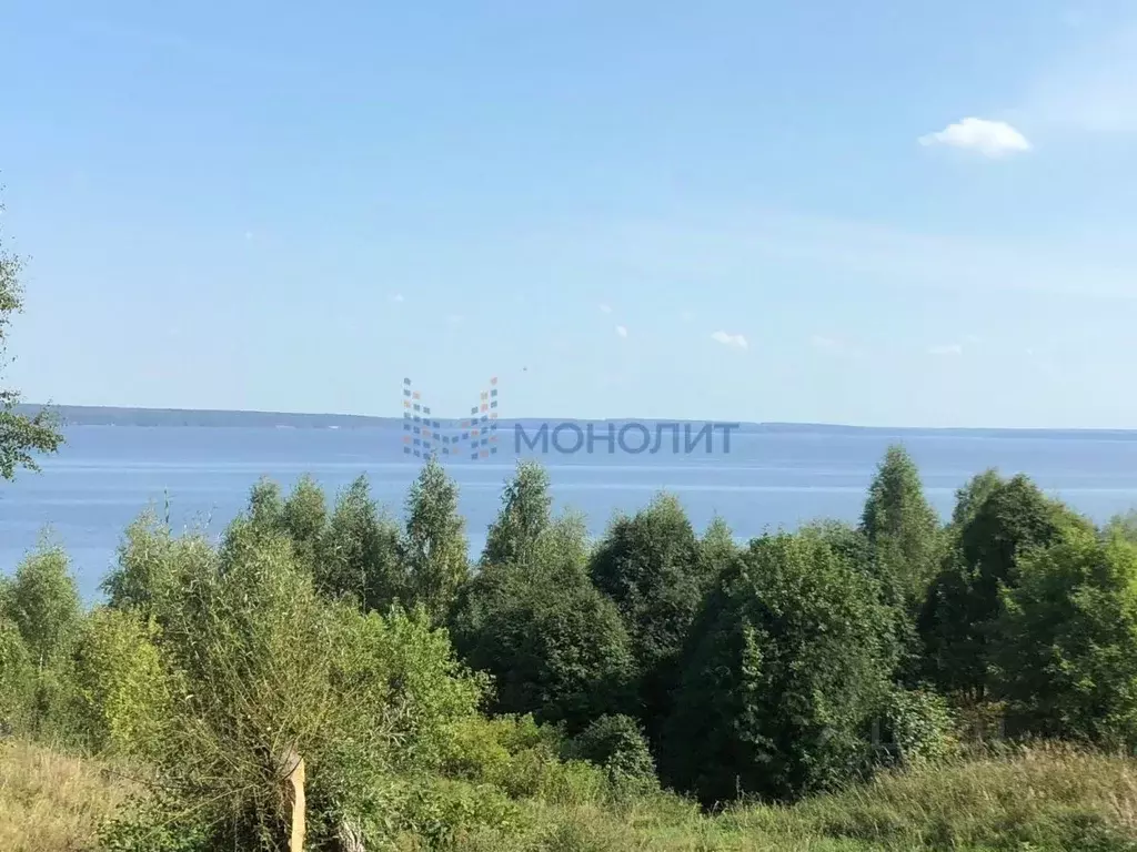 Участок в Ивановская область, Пучежский район, Илья-Высоковское с/пос, ... - Фото 1