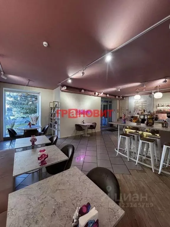 Помещение свободного назначения в Новосибирская область, Новосибирск ... - Фото 1