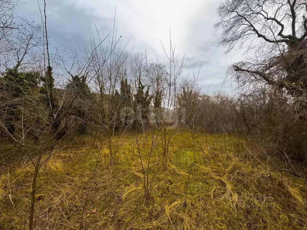 Участок в Краснодарский край, Геленджик городской округ, с. ... - Фото 1