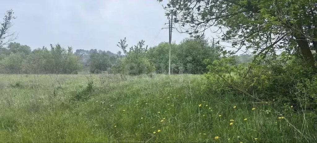 Участок в Липецкая область, Лебедянский район, Покрово-Казацкий ... - Фото 1