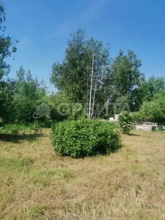 Участок в Тюменская область, Тюменский муниципальный округ, пос. ... - Фото 2