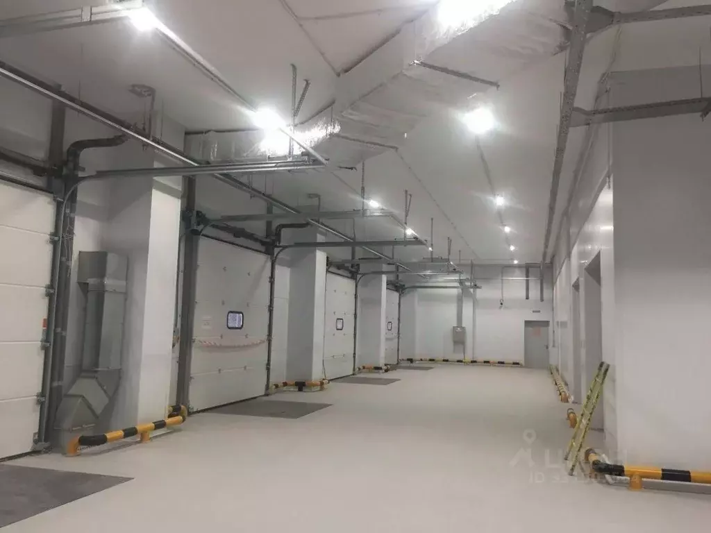 Склад в Москва Рябиновая ул., 45С4 (260 м) - Фото 1