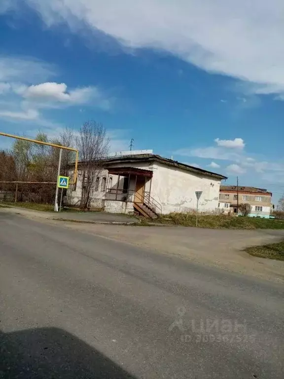 Торговая площадь в Челябинская область, Красноармейский район, с. ... - Фото 1