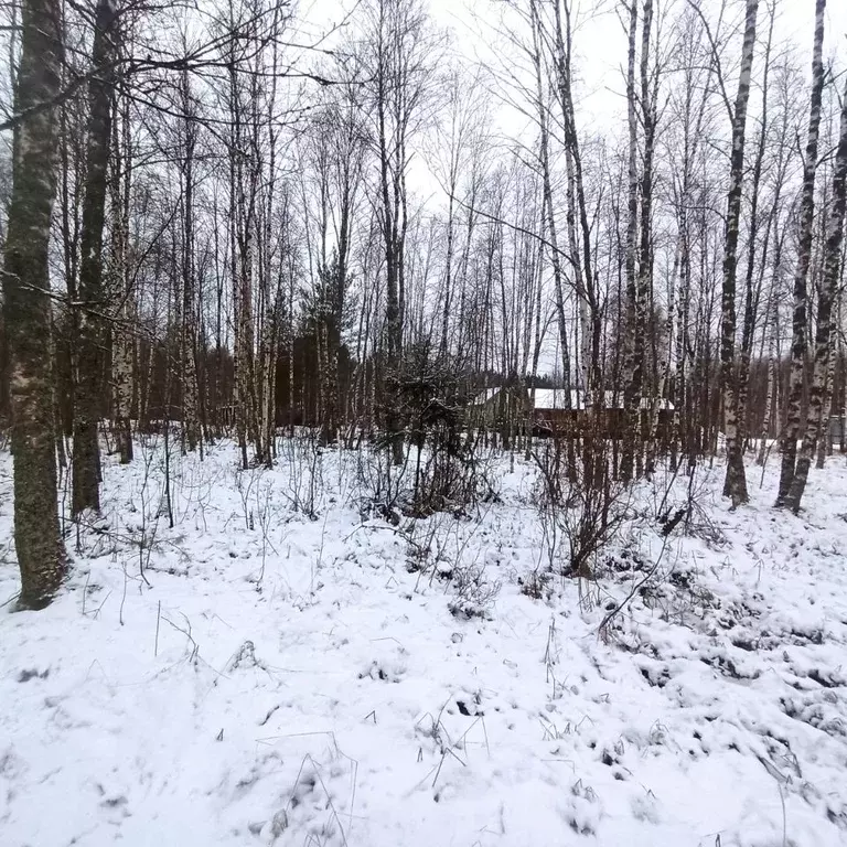 Участок в Ленинградская область, Приозерский район, Мичуринское с/пос, ... - Фото 0