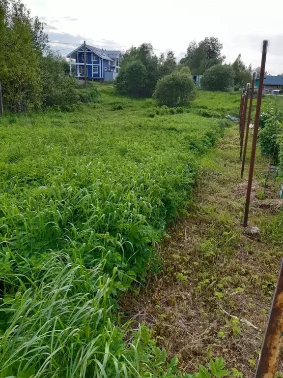 Участок в Ленинградская область, Выборгский район, Рощинское городское ... - Фото 0