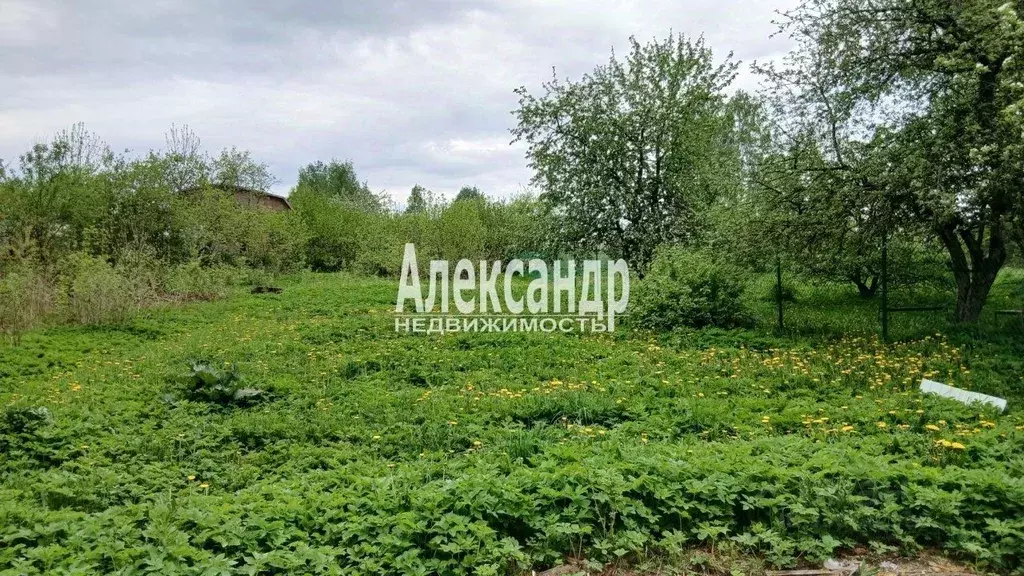 Участок в Ленинградская область, Выборгский район, Полянское с/пос, ... - Фото 2
