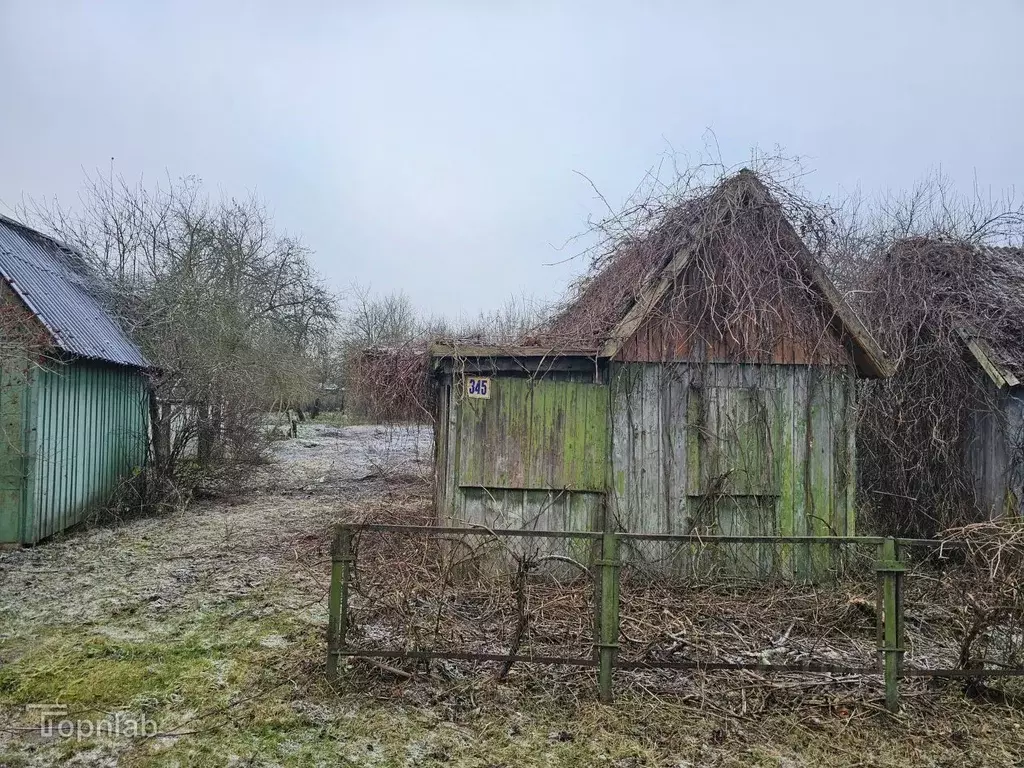 Участок в Калининградская область, Калининград Дельфин СНТ, ул. ... - Фото 2