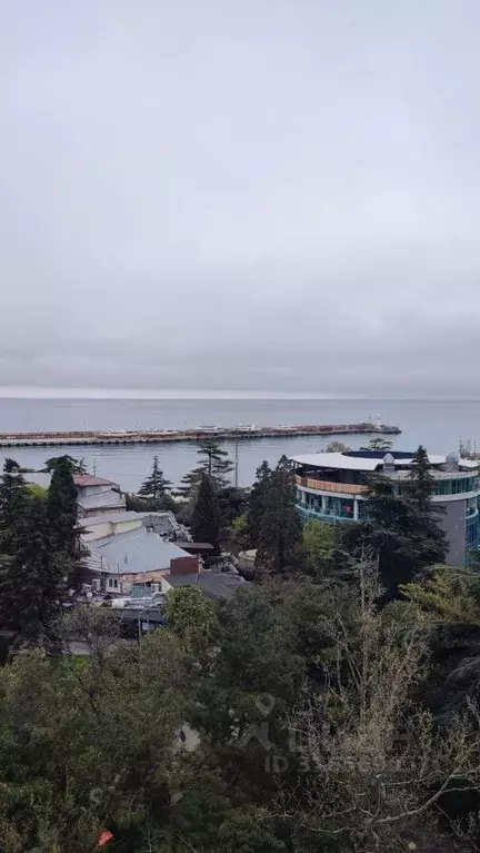 Студия Крым, Ялта ул. К. Маркса, 18А (63.0 м) - Фото 0