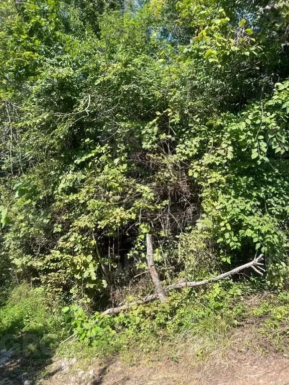 Участок в Краснодарский край, Сочи городской округ, с. Верхний Юрт ул. ... - Фото 1