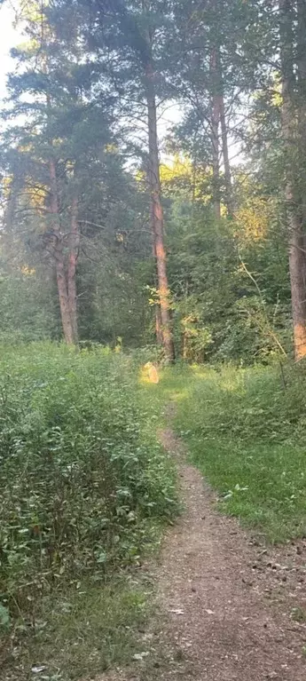 3-к кв. Москва пос. Рублево, ш. Обводное, 6 (56.7 м) - Фото 1