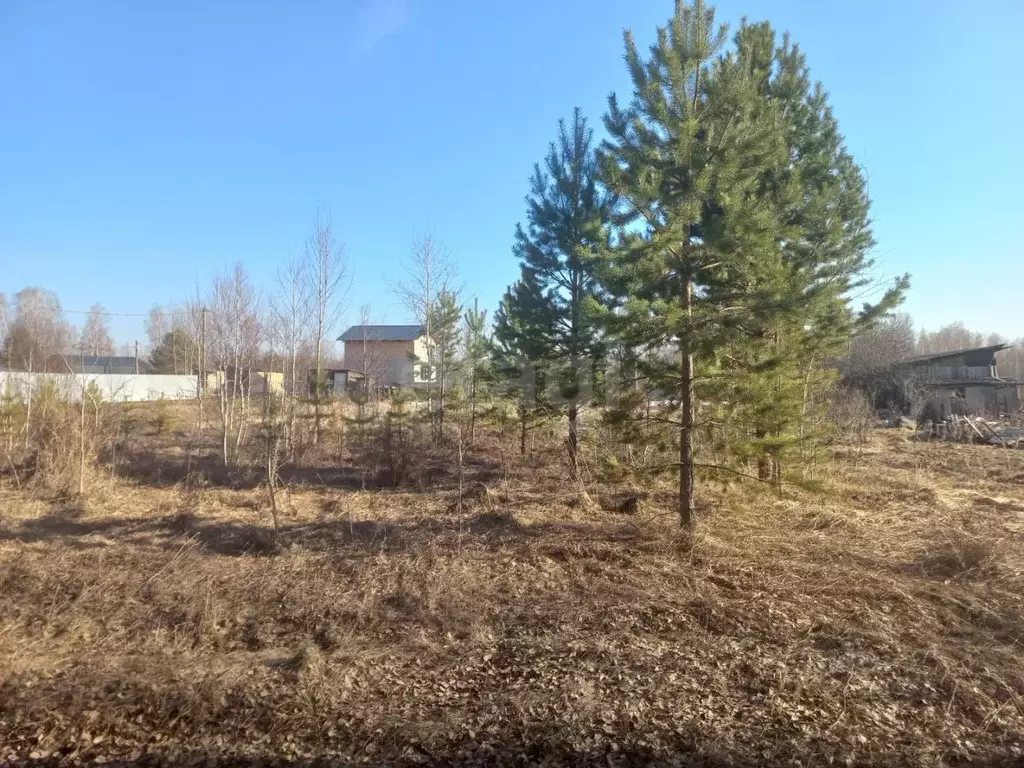 Участок в Тюменская область, Тюменский муниципальный округ, Исток СНТ  ... - Фото 1