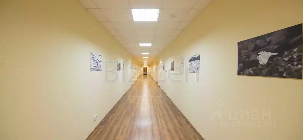 Офис в Санкт-Петербург Ленинский просп., 168 (17 м) - Фото 0