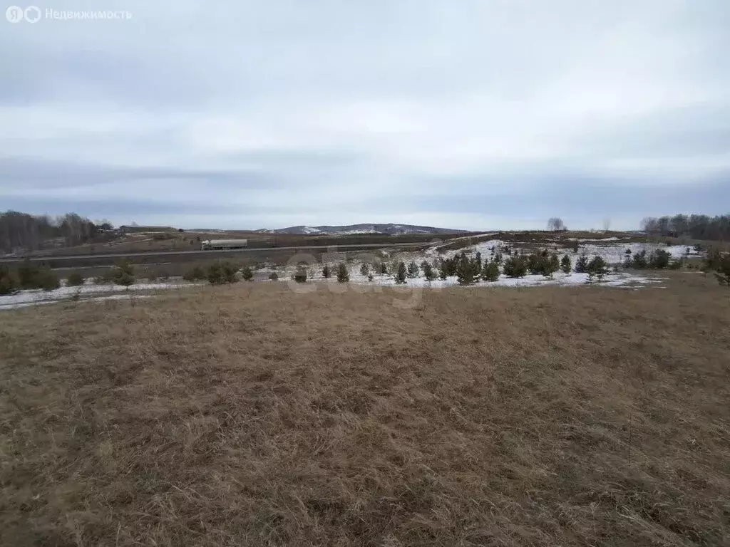 Участок в Красноярск (62.56 м) - Фото 2