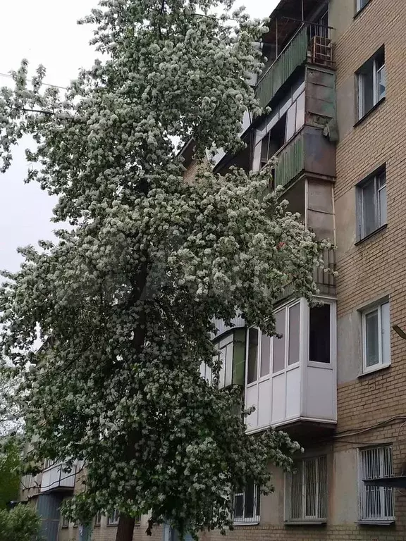 1-к. квартира, 30 м, 2/5 эт. - Фото 0