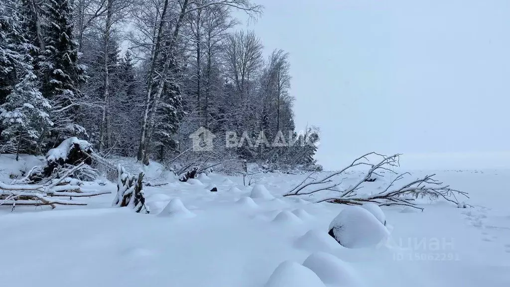 Участок в Ярославская область, Рыбинский район, Огарковское с/пос, д. ... - Фото 1