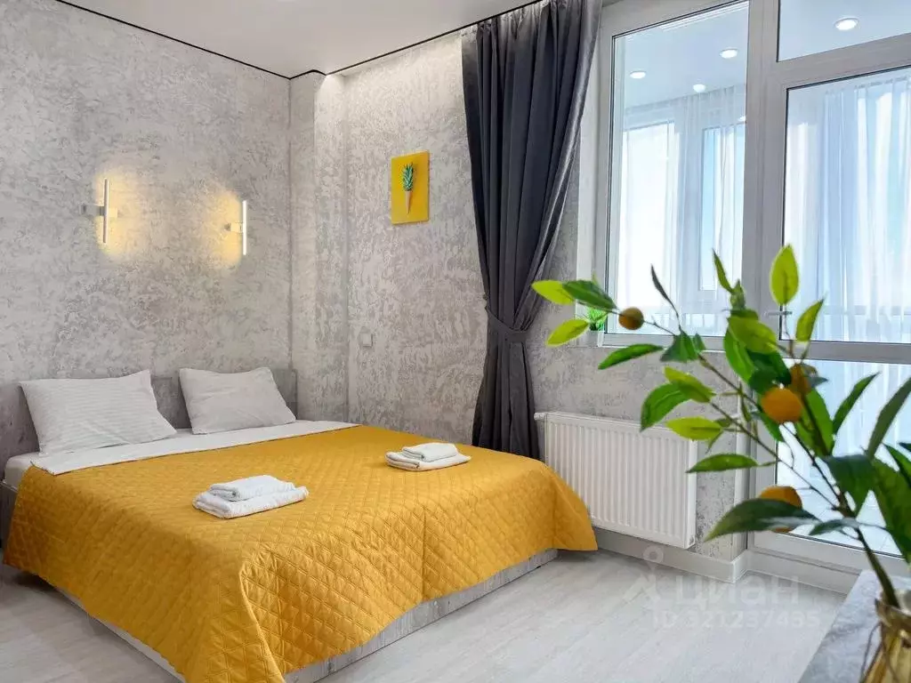 Студия Приморский край, Владивосток ул. Полковника Фесюна, 14 (28.0 м) - Фото 1