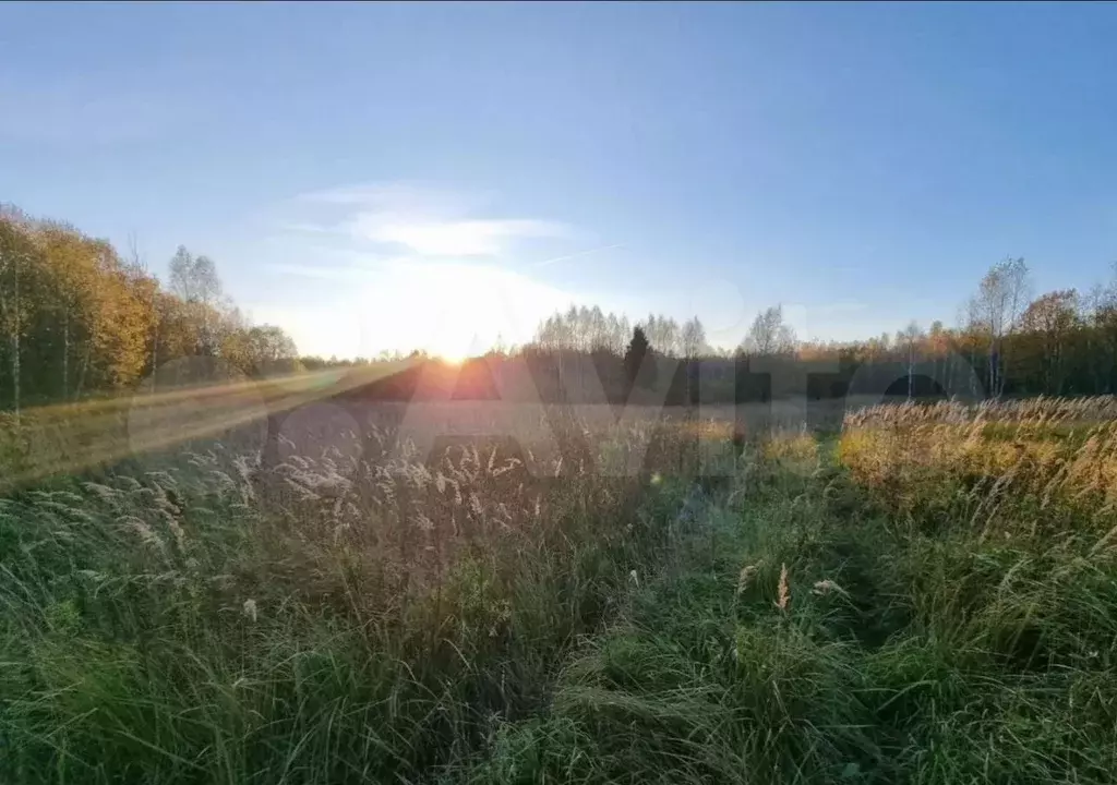 Участок 2 га (СНТ, ДНП) - Фото 0