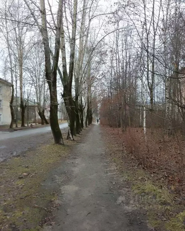 2-к кв. Карелия, Медвежьегорск ул. Кирова, 22 (62.3 м) - Фото 2