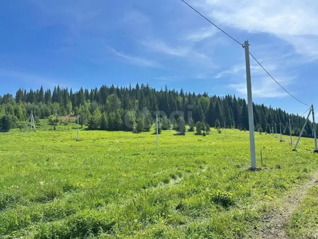 Участок в Башкортостан, Караидельский сельсовет, д. Нижние Балмазы  ... - Фото 1