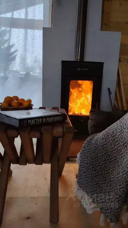 Дом в Новосибирская область, Колыванский район, Луговое СТ 87 (72 м) - Фото 2