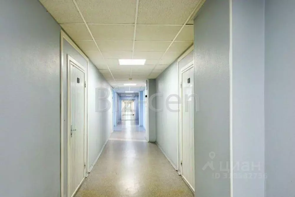 Офис в Санкт-Петербург пл. Конституции, 2 (43 м) - Фото 2