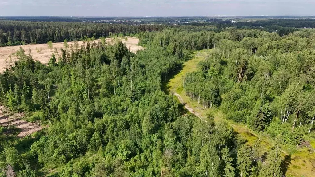 Участок в Московская область, Электроугли Богородский городской округ, ... - Фото 1