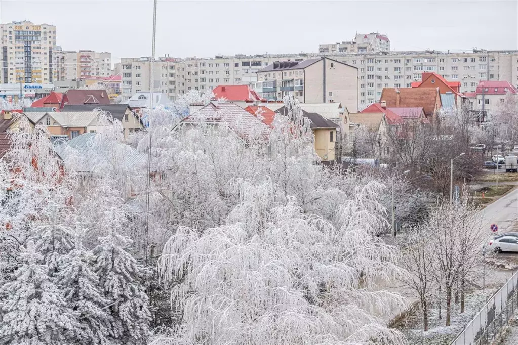 1-к кв. Ставропольский край, Ставрополь ул. Доваторцев, 77к1 (36.0 м) - Фото 1
