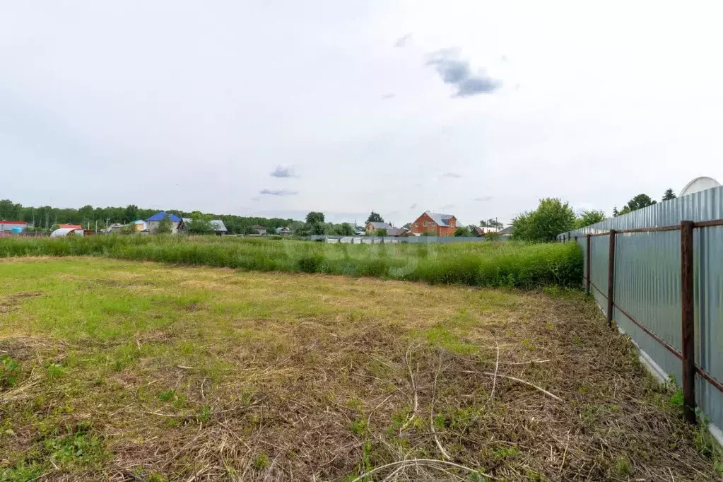 Участок в Тюменская область, Тюменский муниципальный округ Салаирский ... - Фото 1