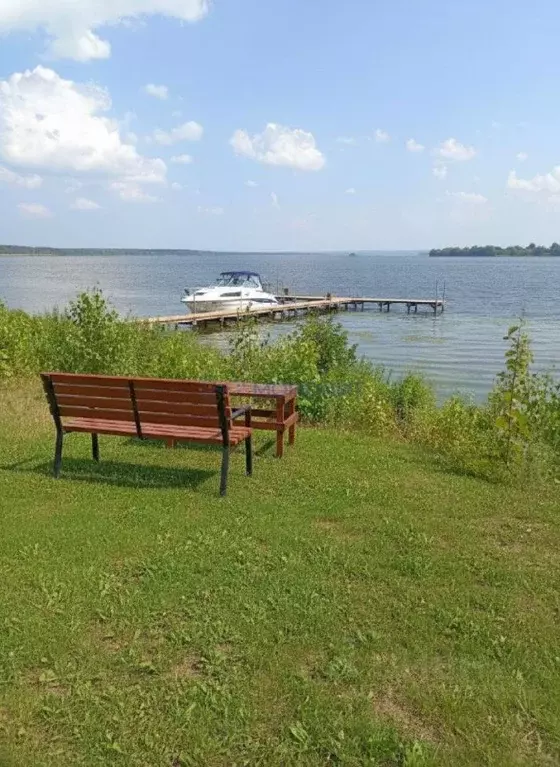 Участок в Нижегородская область, Лысковский район, Бор с/пос  (184.33 ... - Фото 1