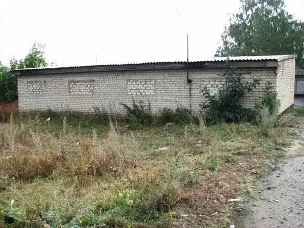 Гараж в Воронежская область, Семилукский район, с. Нижняя Ведуга ул. ... - Фото 1