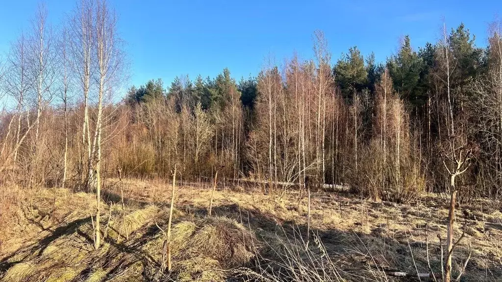 Участок в Ленинградская область, Всеволожский район, Колтушское ... - Фото 0