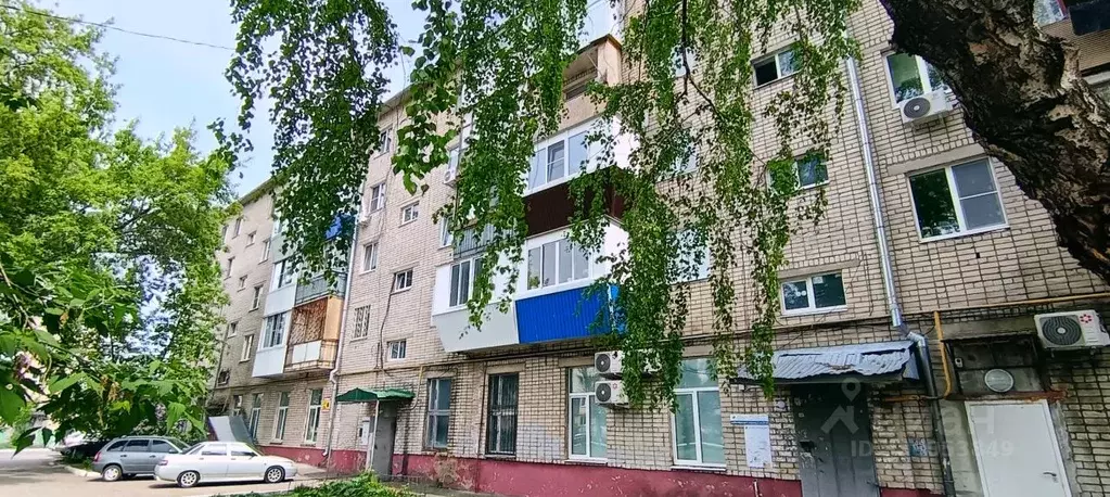 3-к кв. Самарская область, Тольятти Октябрьская ул., 1 (62.2 м) - Фото 1