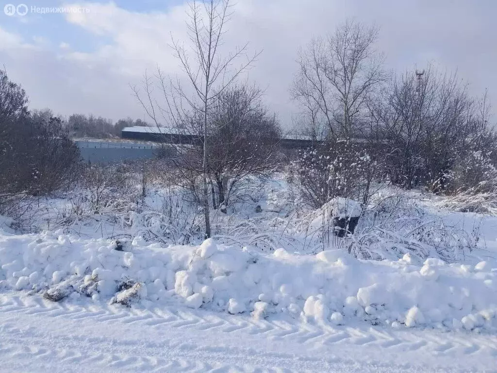 Участок в Варюхино, Центральная улица (42 м) - Фото 2