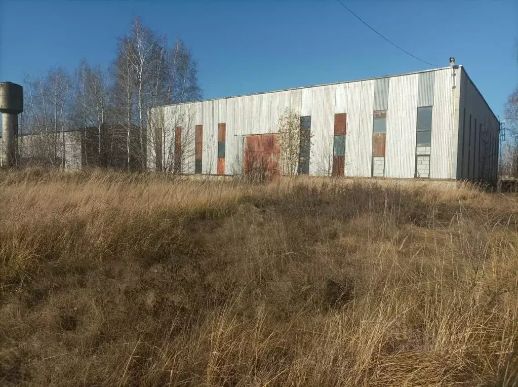 Склад в Липецкая область, Грязинский район, Большесамовецкий ... - Фото 1