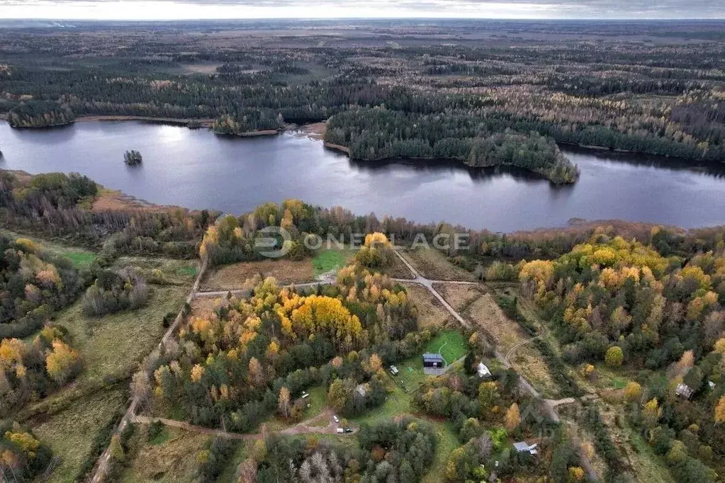 Участок в Ленинградская область, Приозерский район, Мельниковское ... - Фото 1