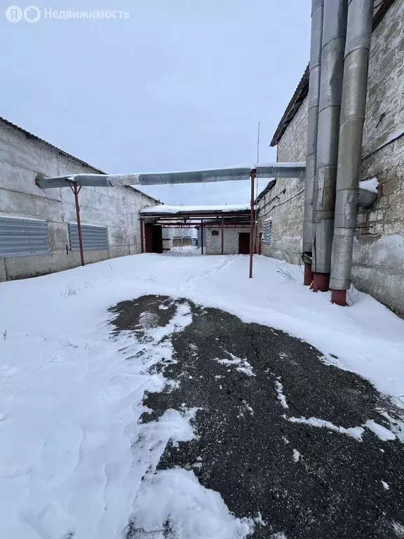 Производственное помещение (1000 м) - Фото 1