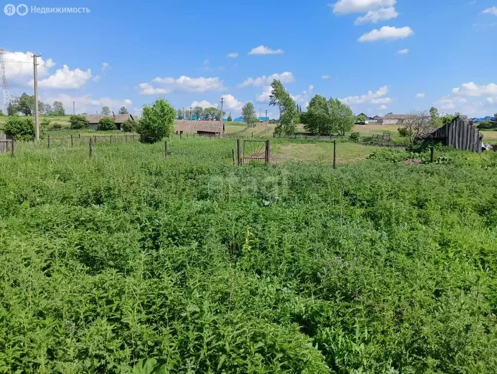 Участок в Кабаковский сельсовет, деревня Верхнетимкино, ... - Фото 1
