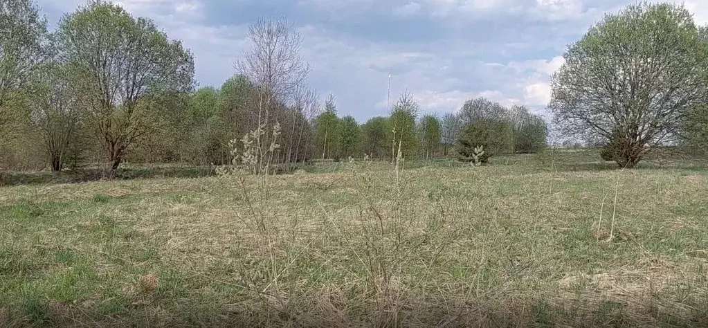 Участок в Московская область, Наро-Фоминский городской округ, д. ... - Фото 1