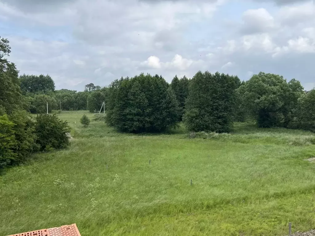 Участок в Калининградская область, Гурьевский муниципальный округ, ... - Фото 1