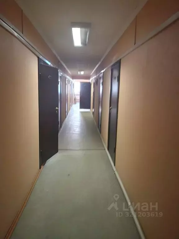 Офис в Новосибирская область, Новосибирск Тайгинская ул., 13/1 (19 м) - Фото 0