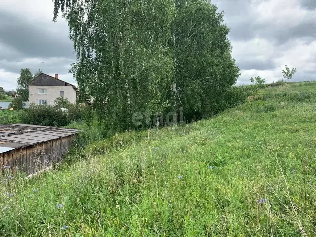 Участок в Алтайский край, Барнаул городской округ, Поселок Казенная ... - Фото 1