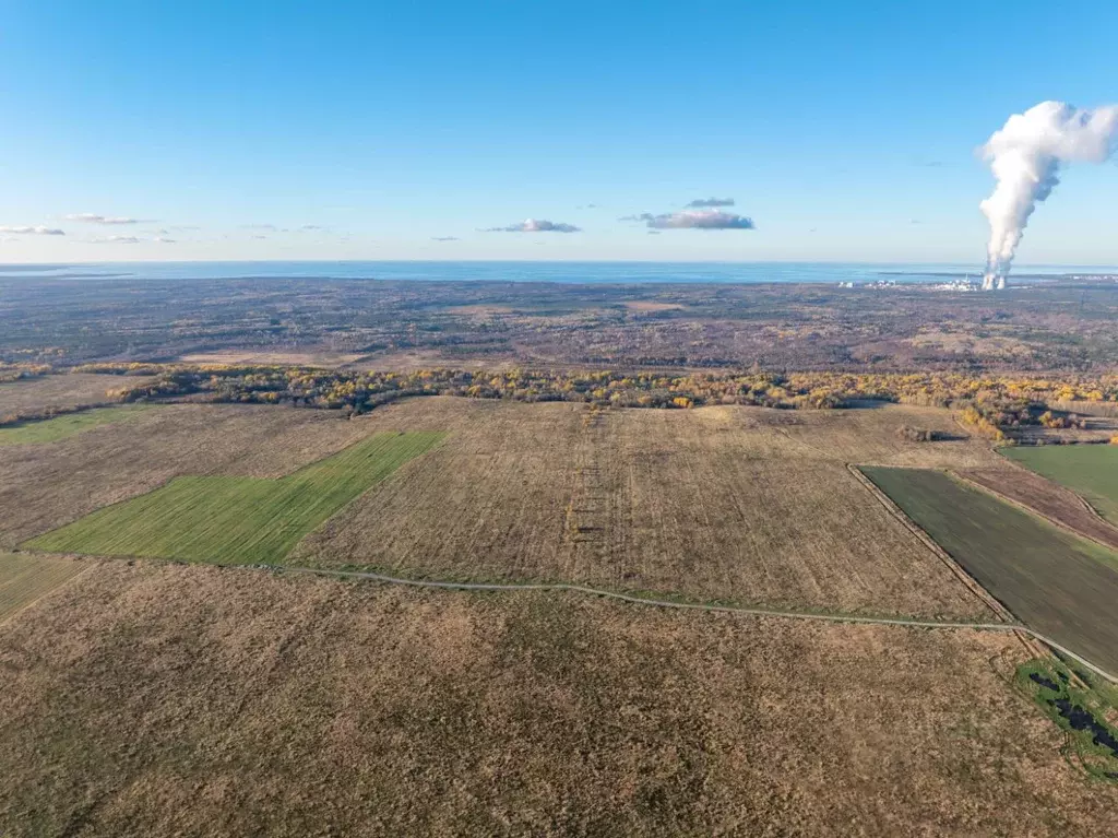 Участок в Ленинградская область, Ломоносовский район, Копорское с/пос  ... - Фото 2