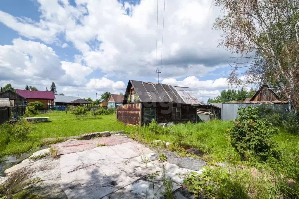 Участок в Новосибирская область, Новосибирск Лилия СНТ, ул. ... - Фото 1