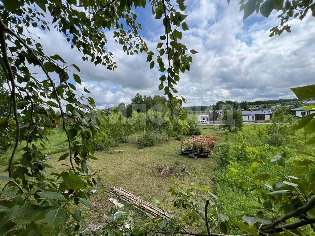 Участок в Новосибирская область, Мошковский район, пос. Октябрьский ... - Фото 1