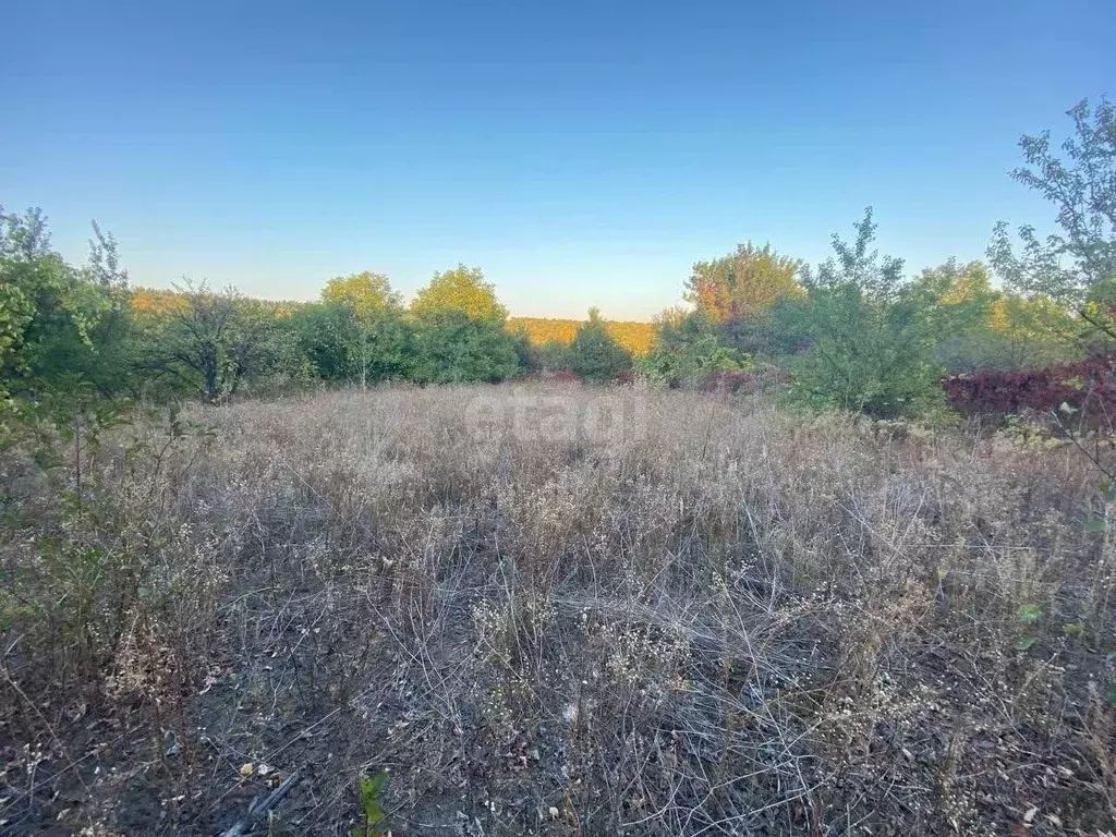 Участок в Белгородская область, Губкин ул. Лизы Чайкиной (8.0 сот.) - Фото 1