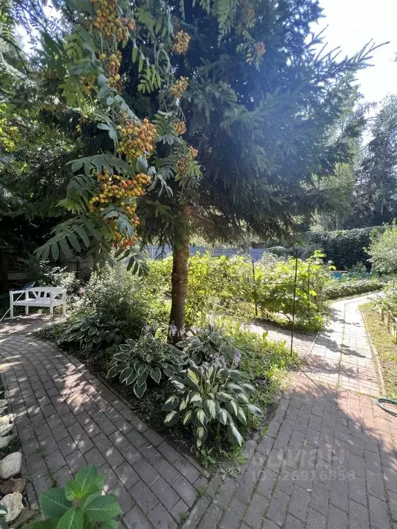 Участок в Московская область, Истра муниципальный округ, д. Аносино ... - Фото 2