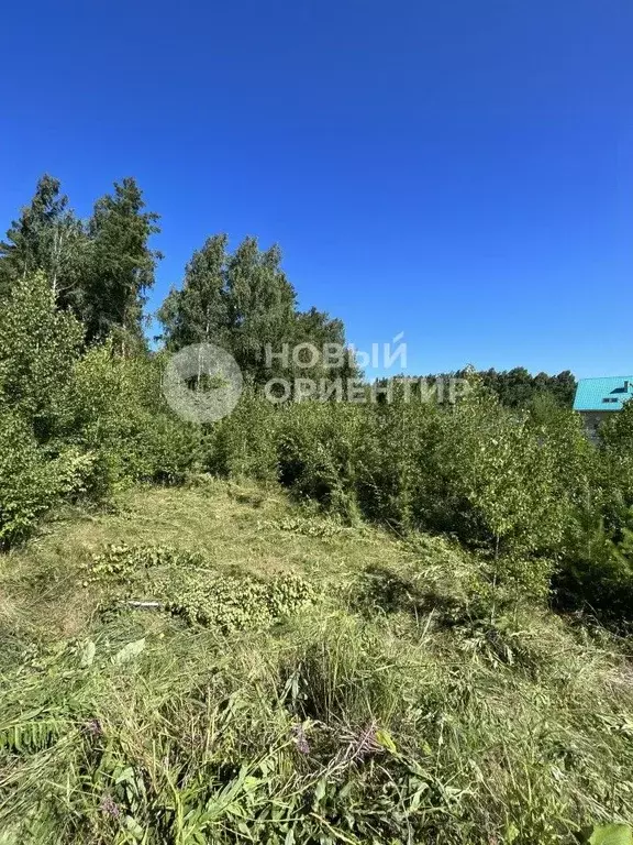 Участок в Свердловская область, Полевской муниципальный округ, с. ... - Фото 1