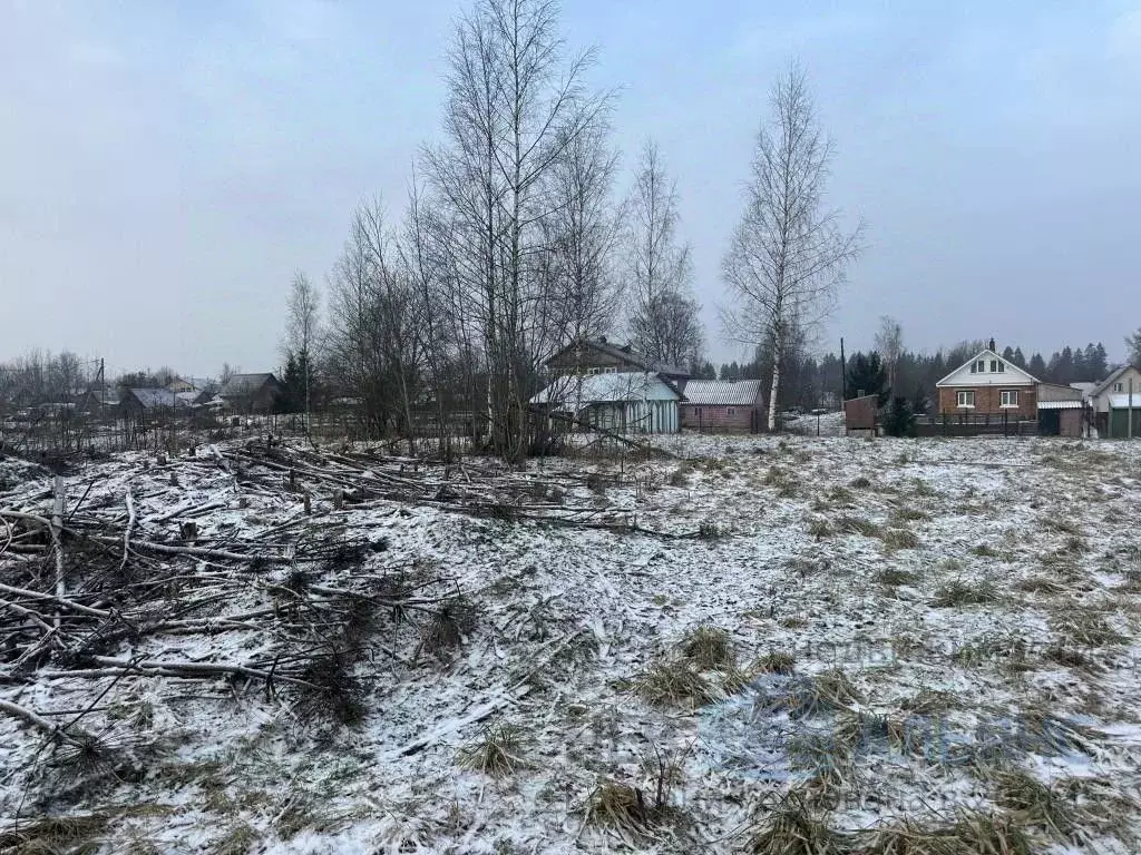 Участок в Ленинградская область, Ломоносовский район, Гостилицкое ... - Фото 2