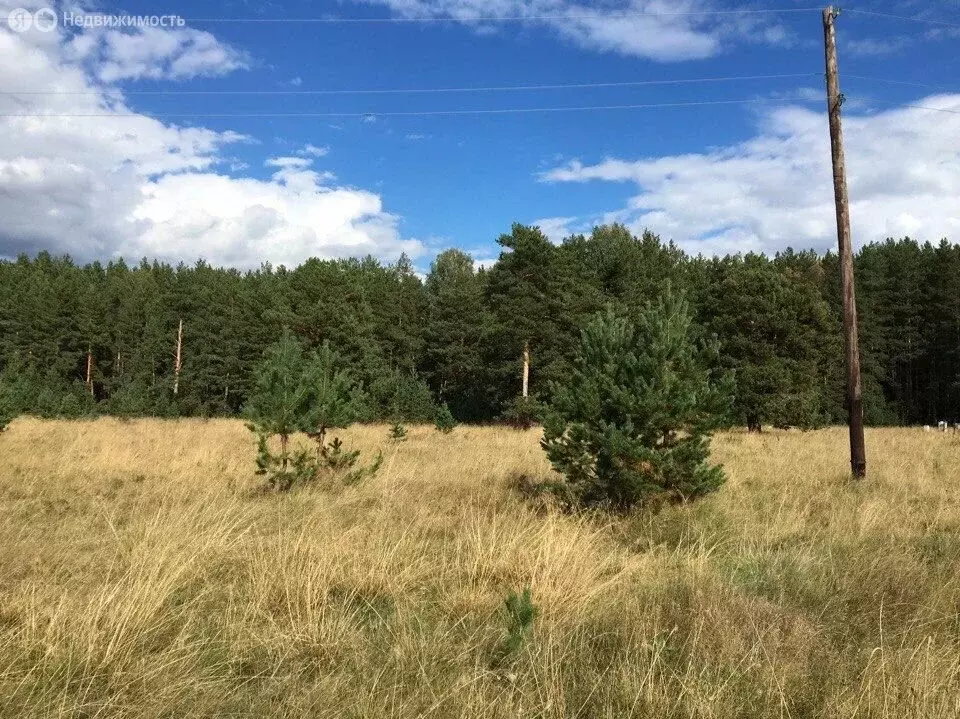 Участок в Свердловская область, Каменский муниципальный округ, село ... - Фото 0